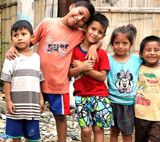 Webpulse Foundation