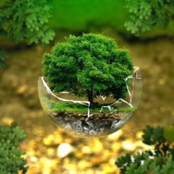 Top Environment Protection NGO in Gujarat