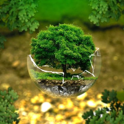 Top Environment Protection NGO in Adilabad